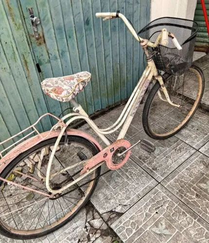 Bicicleta monark brisa