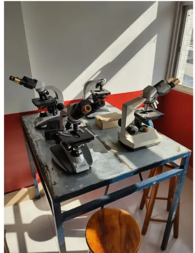 Microscópio