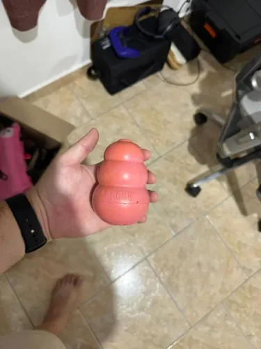 Kong Puppy