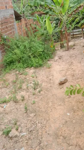 Terreno em Sauaçui 