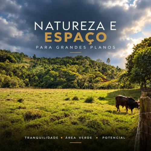 Área de 27,1 Hectares à Venda em Paulo Lopes/SC - Próxima à BR-101