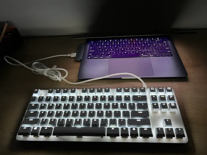Teclado Gamer Razer Blackwidow Li-te