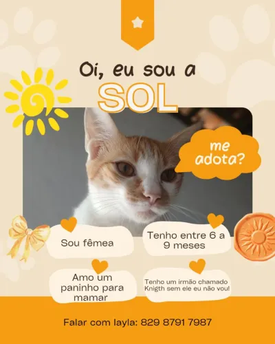 Adoção de irmãos Sol e Knigth 