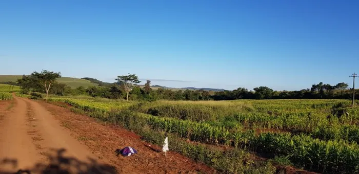 Chácara 20.000 m2 ,Gleba Ribeirão Pinguim próximo ao Aeroporto,R$ 1.800.000,00