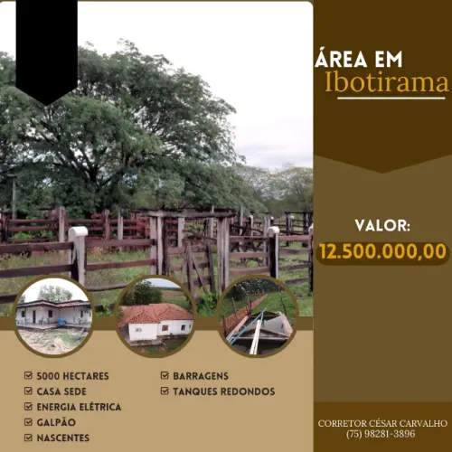 ÁREA EM IBOTIRAMA - 5000 HECTARES