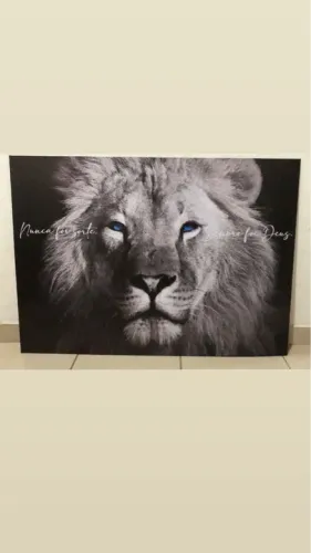 Quadro Decorativo Leão com Olhos Azuis 1,05x0,75