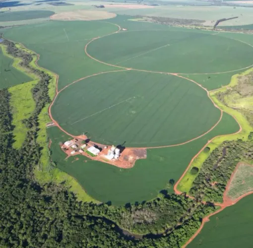 Excelente fazenda no triângulo mineiro 