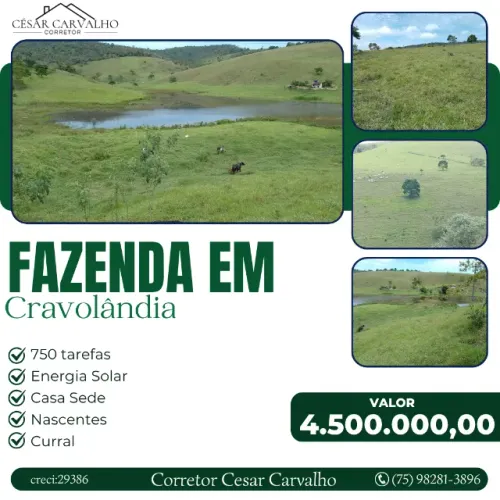 FAZENDA EM CRAVOLÂNDIA - 750 TAREFAS