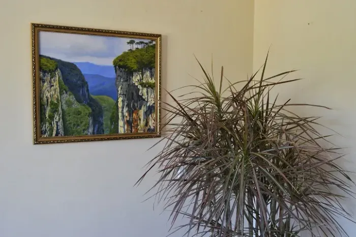 PINTURA EM TELA - CANYON ITAIMBEZINHO