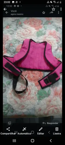 Cinto infantil para Moto valor 80reais
