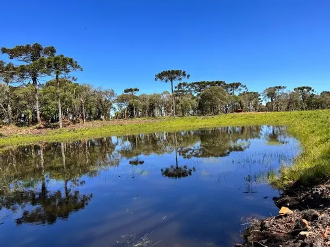 Área rural em Urubici/ chácara em Urubici