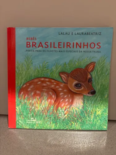 Bebês Brasileirinhos - Lalau e Laura Beatriz