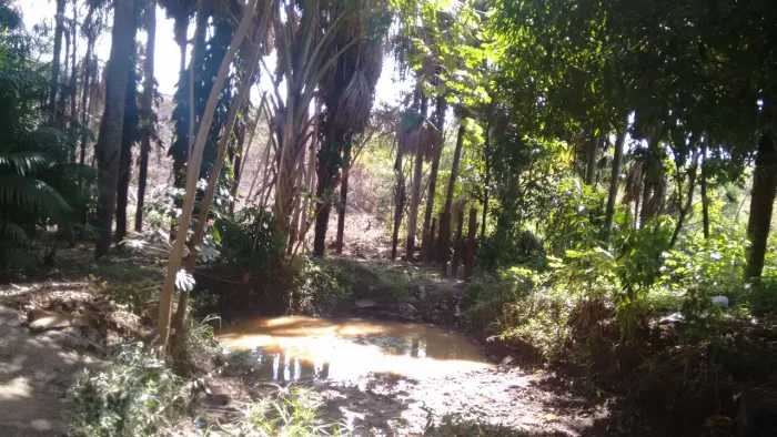 SÍTIO À VENDA - KM 12 | BR-135 - SÃO LUÍS/MA <br>