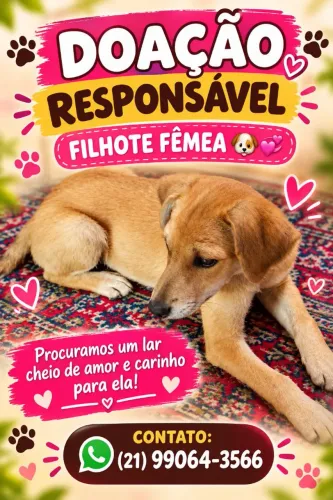 Cachorra filhote (fêmea)