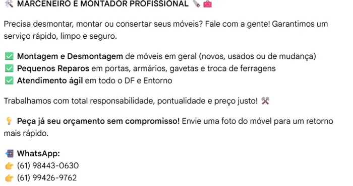 Desmonta e Monta Moveis e Outros Serviços 