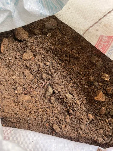 Terra para plantio
