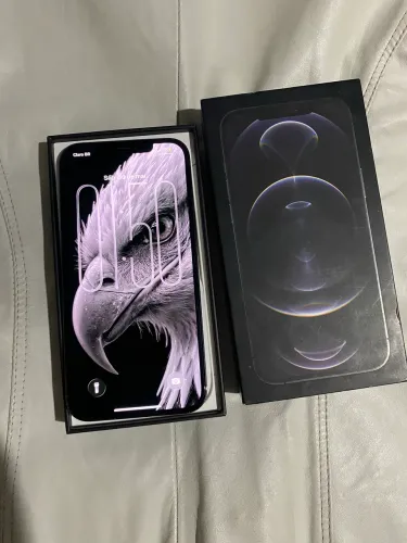 12 pro max 256gb todo original nunca aberto