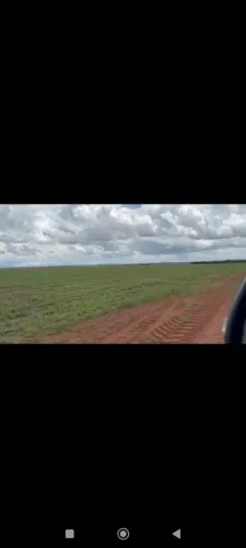Fazenda de arrendamento pra Soja 1.000hec em Rosalândia TO.