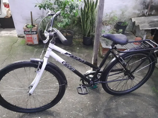 Bicicleta poti aro 26
