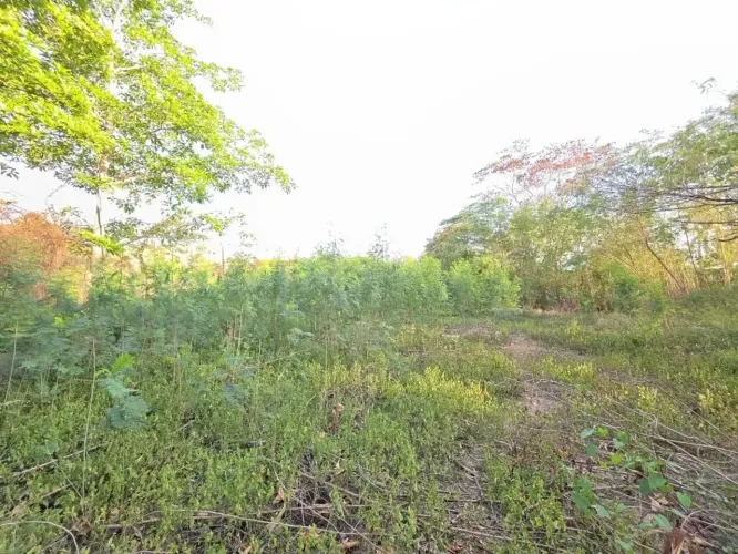 Iterreno no Bairro Boa Esperança