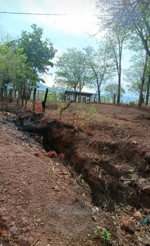 Terreno