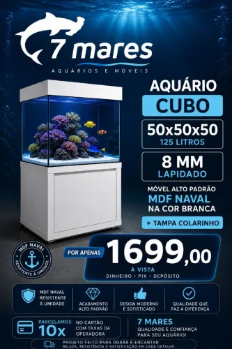 Cubo 50x50