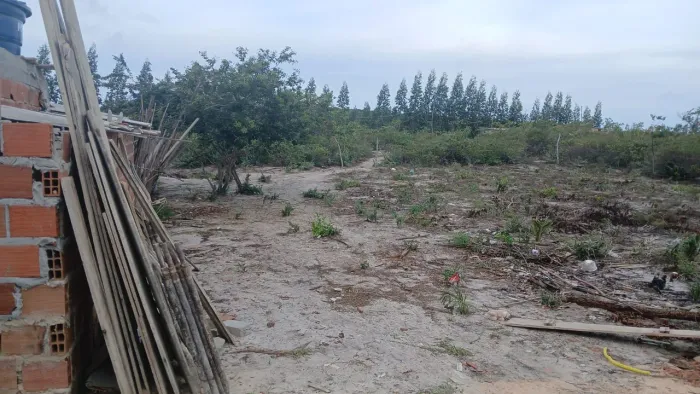 Terreno