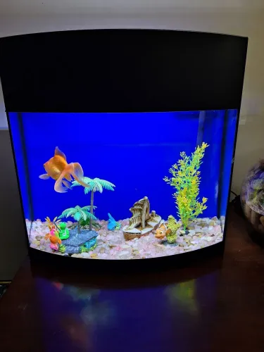 Aquário 40x40x24 cm com acessórios e iluminação led
