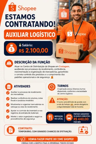Auxiliar de Logística
