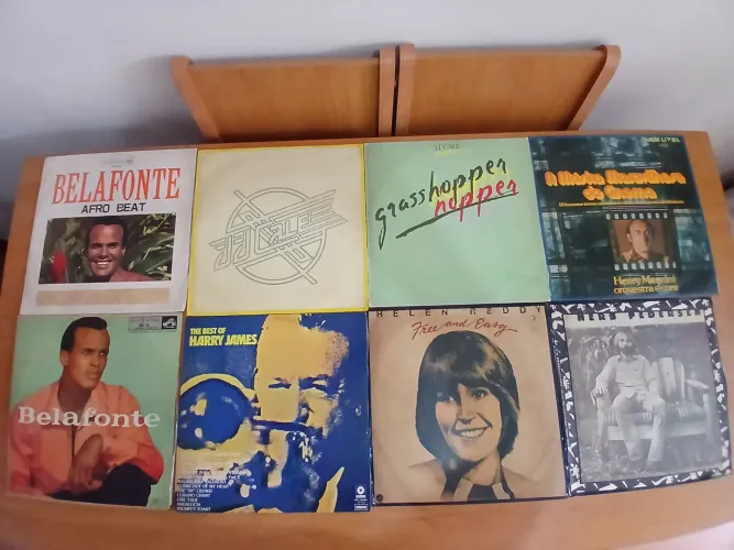 Lote de LPs Vinil variados III