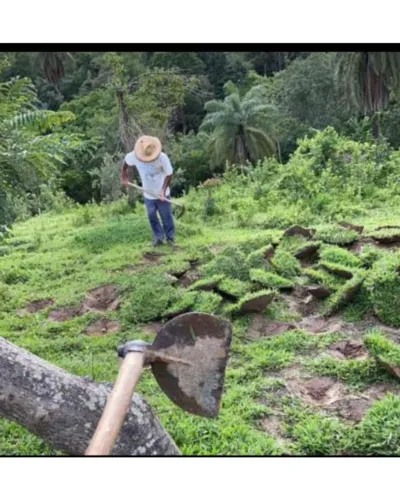 Vendo Grama Batatais | 100M°| Entrego em Ravena e região