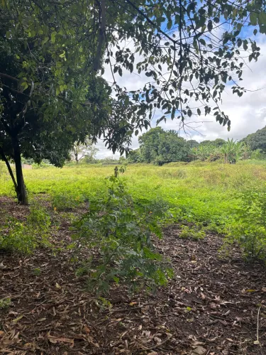 Loteamento em Matozinhos