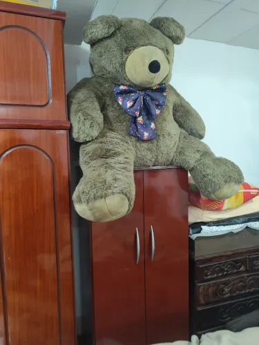 Urso gigante!