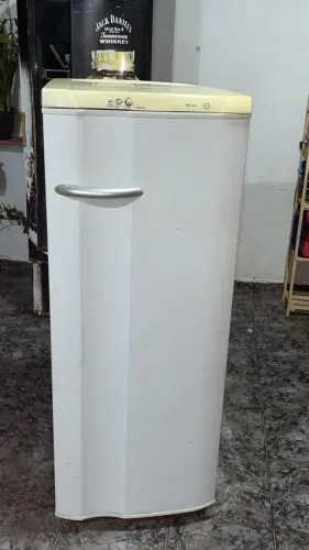 Geladeira Eletrolux 220v
