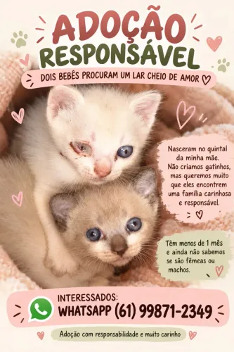 ADOAÇÃO RESPONSÁVEL 