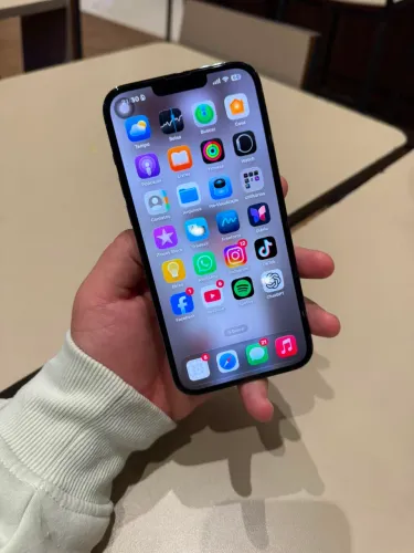 iPhone 13 Pro Max