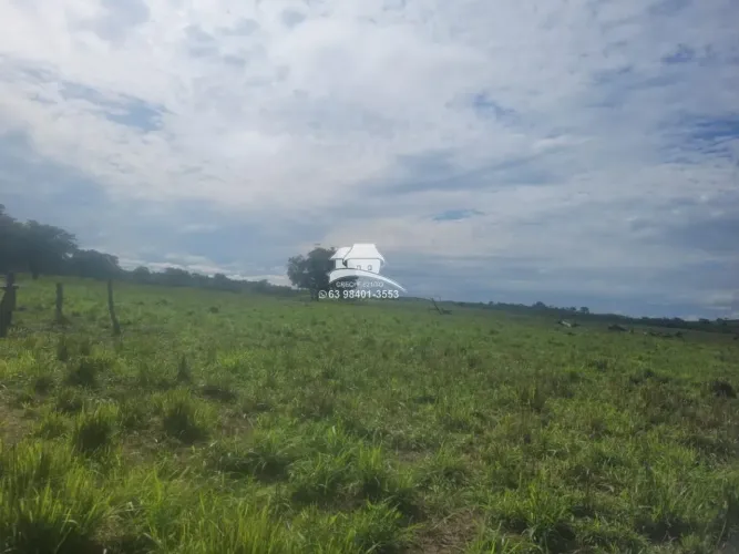 Fazenda para Venda em Pequizeiro, área rural de ampla expansão agropecuária