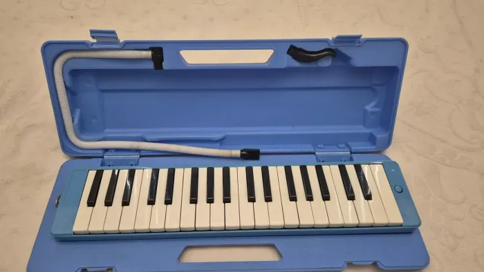 Escaleta Dolphin