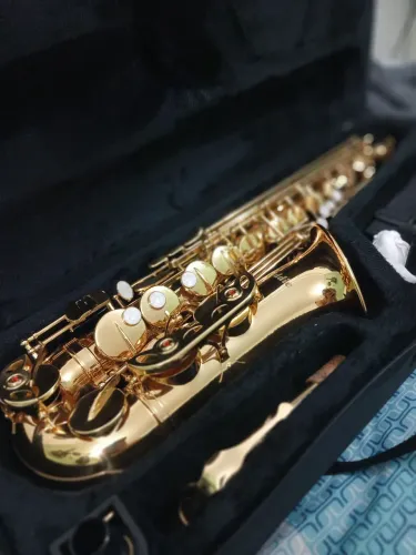 Saxofone alto (sax alto) Eb NOVO INTACTO | Acompanha BAG E ACESSÓRIOS || COMPLETO