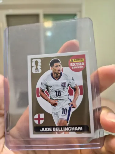 Bellingham dourado