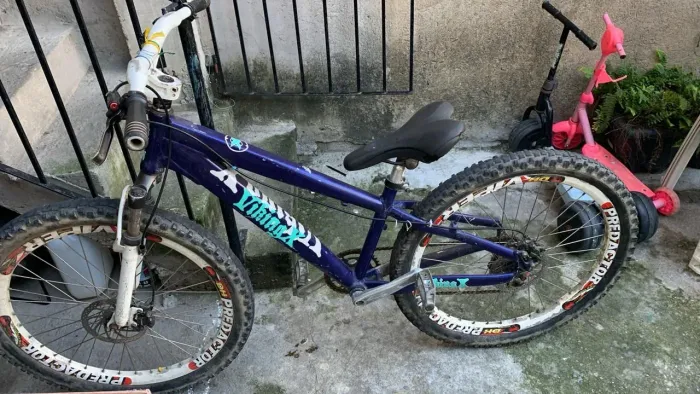 Bicicleta viking