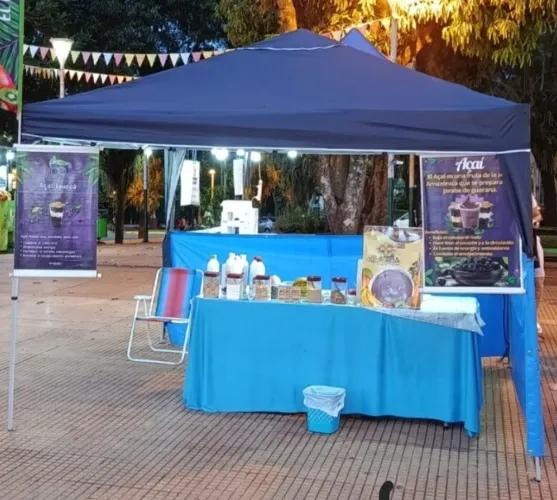 Tenda Gazebo Flex MOR 3X3m