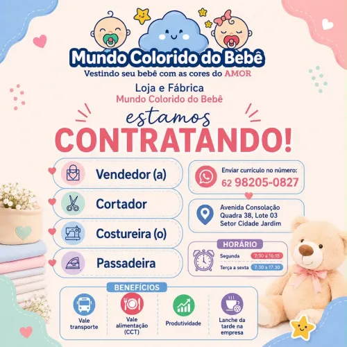 Vagas de Emprego em Goiânia - Vendedor(a), Cortador, Costureira(o) e Passadeira