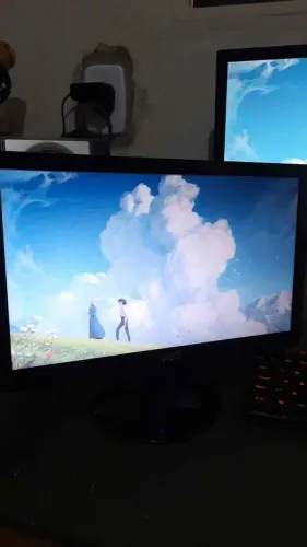 Monitor AOC