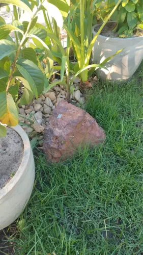 Pedras para decoração de jardim