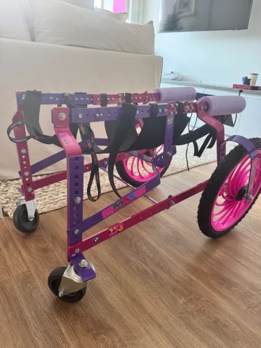 Cadeira de rodas para cachorro. Max locomotion - G
