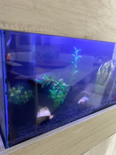 Aquário 45 litros completo com móvel