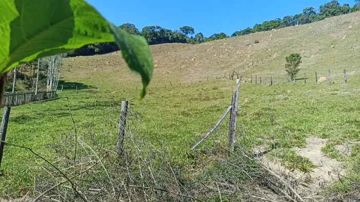 Sitio de 2 alqueires com casa sede ,curral e pasto formado