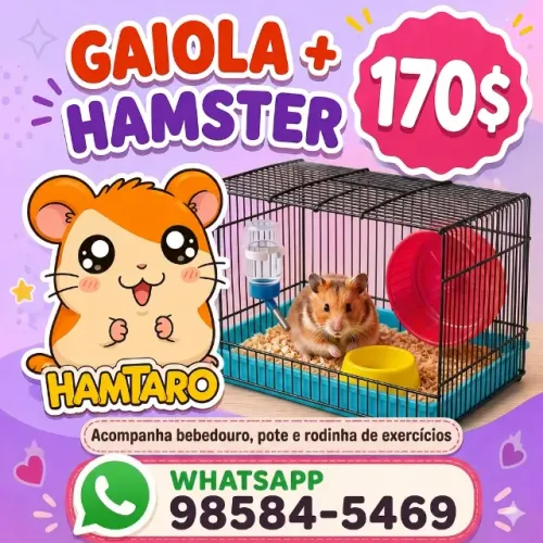 Gaiola + Hamster