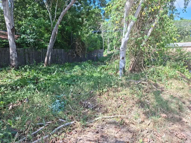 Terreno na comunidade do carananzal próximo ao alter do chão 25000 mil preço negociável.
